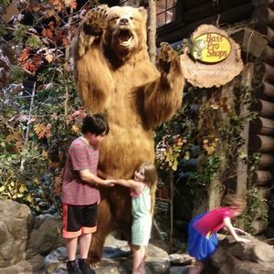 Meet your Posher, Lacy